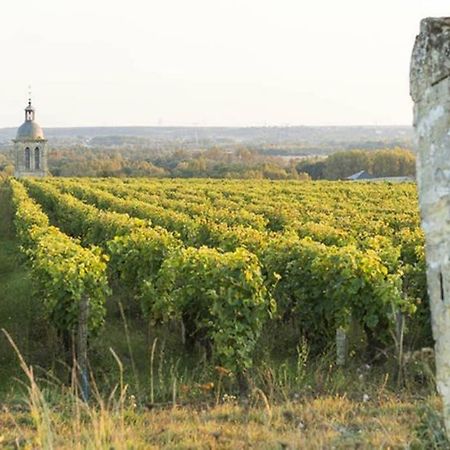 Ferienwohnung Studio Au Coeur Des Vignes Montlouis-sur-Loire Exterior foto